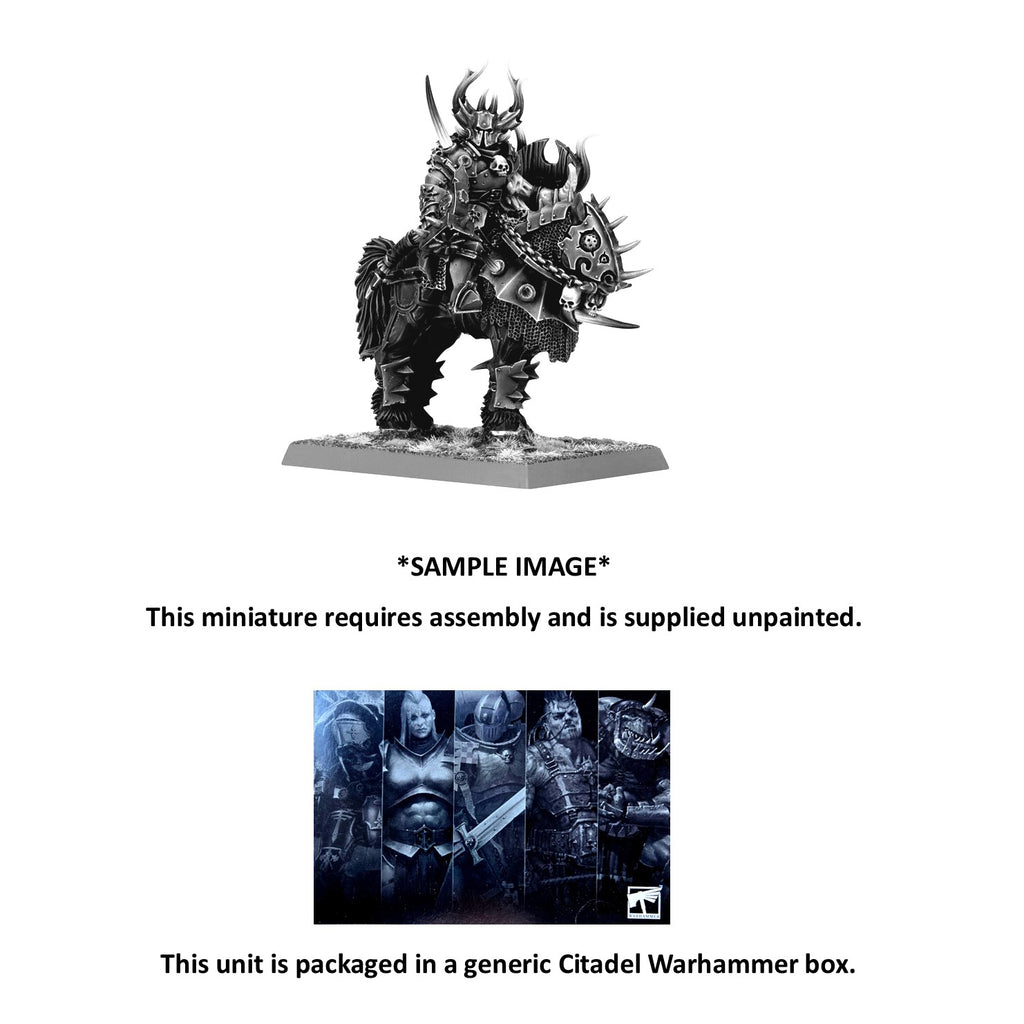 Chaos Lord on Daemonic Mount Warriors of Chaos Warhammer Old World