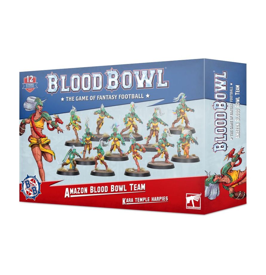 Kara Temple Harpies Amazon Blood Bowl Team Warhammer Fantasy Games