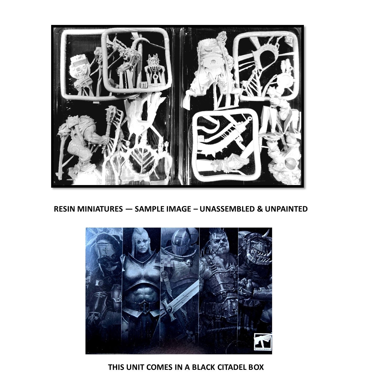 Maneaters Ogor Mawtribes  Warhammer Age of Sigmar Fantasy