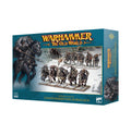 Marauder Horsemen Warriors of Chaos Warhammer Old World