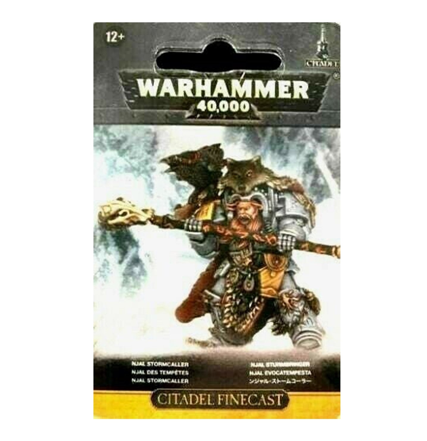 Njal Stormcaller In Terminator Armour Space Wolves Warhammer 40K