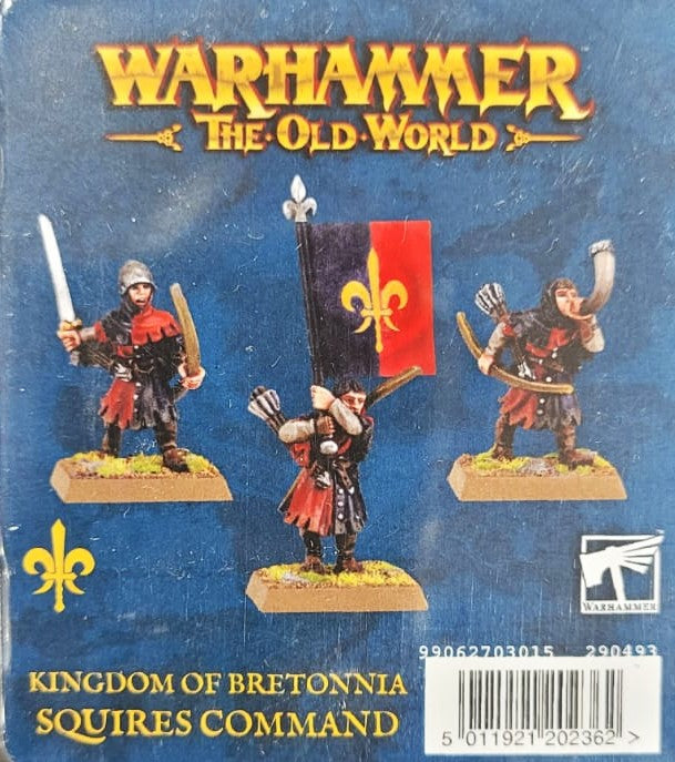 Squires Command Kingdom Of Bretonnia Warhammer Old World