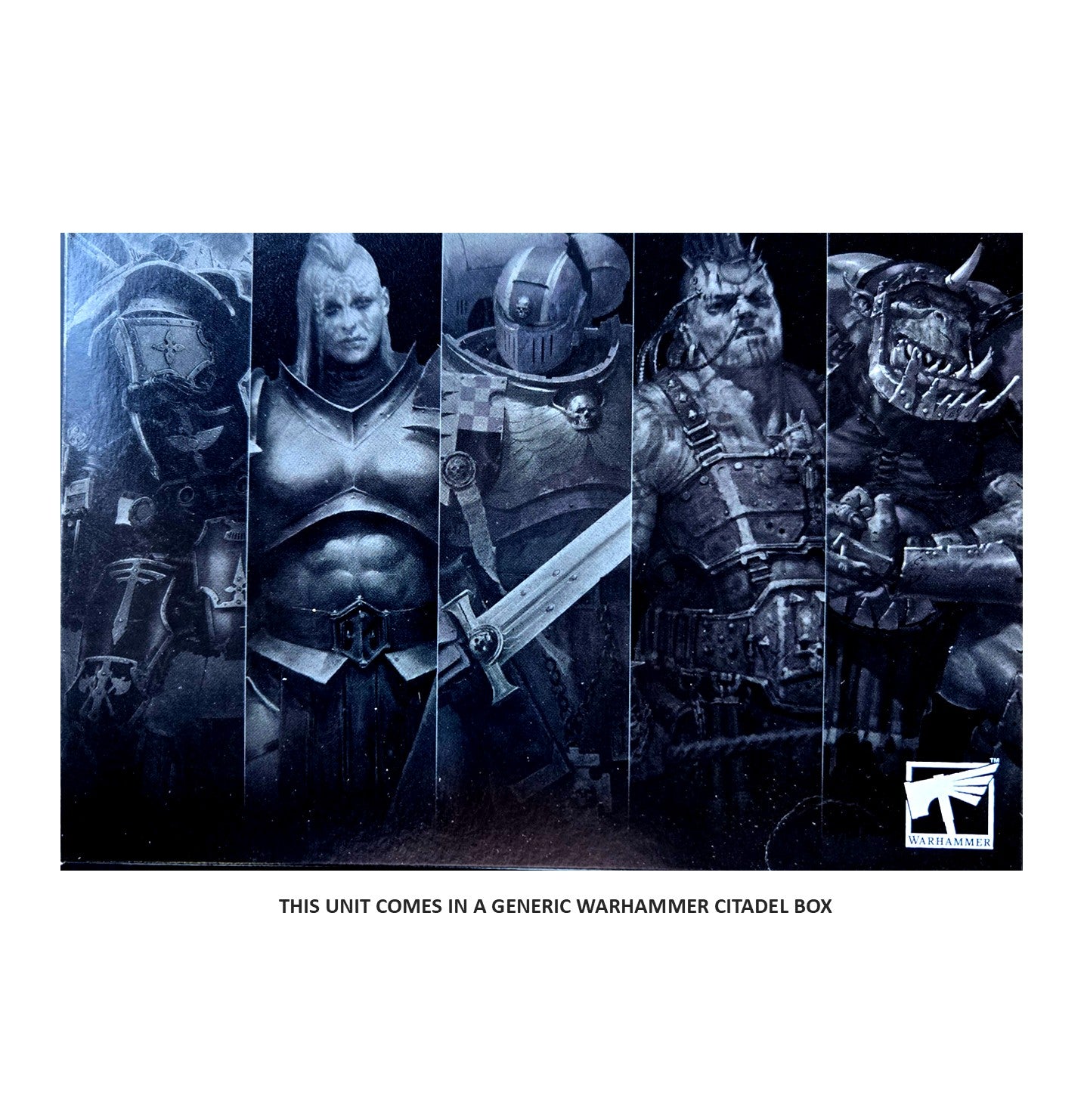 Chaos Lord on Daemonic Mount Warriors of Chaos Warhammer Old World