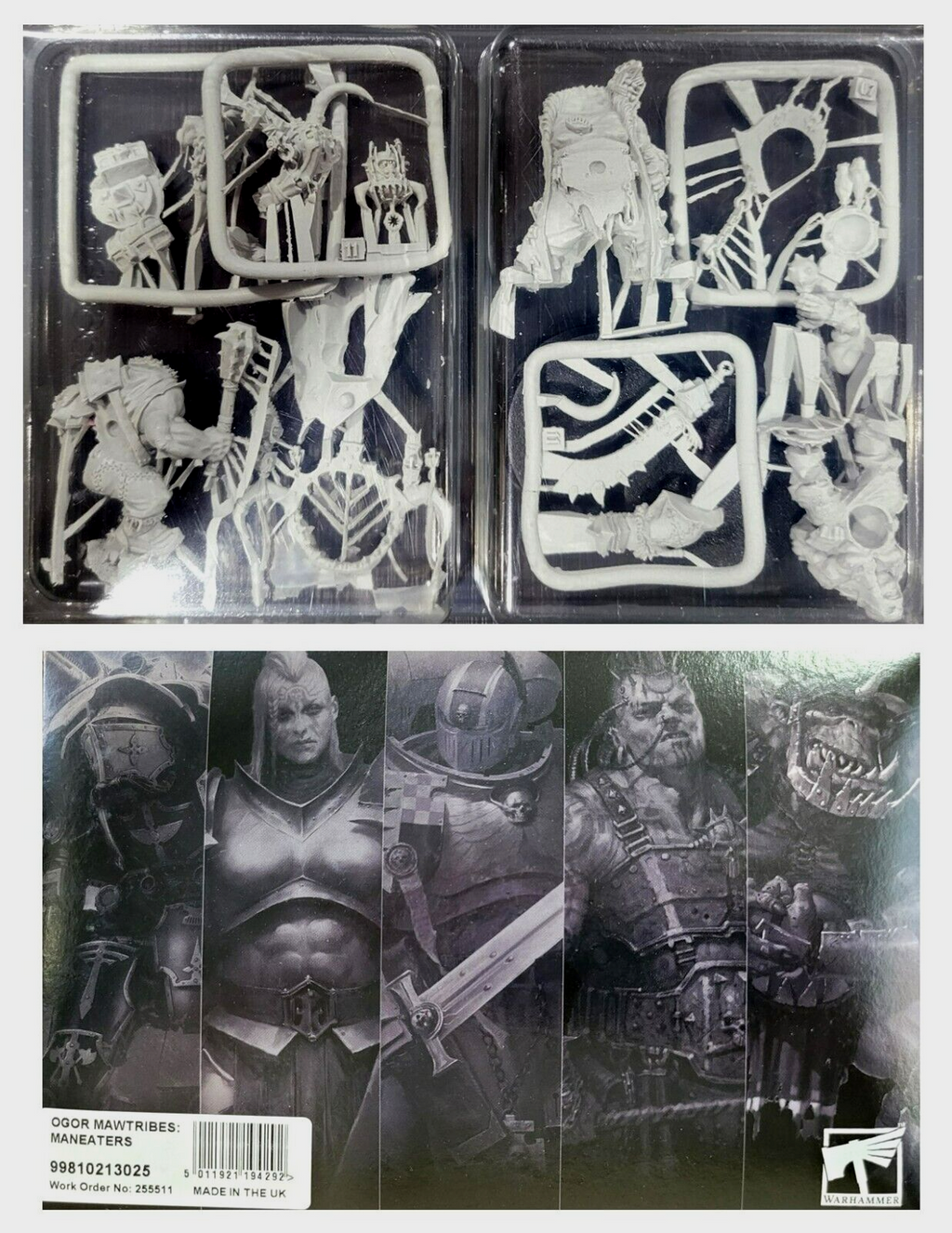 Maneaters Ogor Mawtribes  Warhammer Age Of Sigmar Fantasy